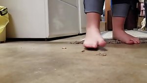 Barefoot cricket crush